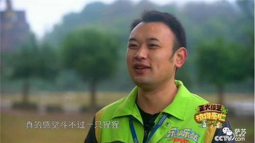 吃瓜网红戴口罩视频,神秘面纱下的网络热议