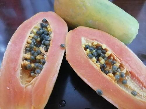 吃瓜网最新线路