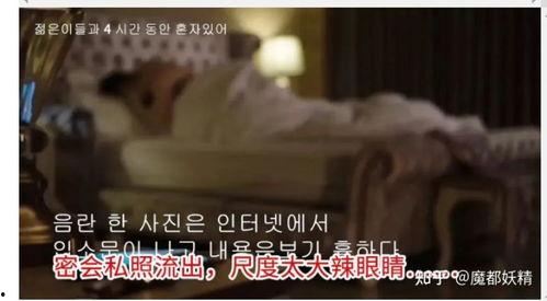 网红明星网红吃瓜合集视频,盘点热门事件幕后真相