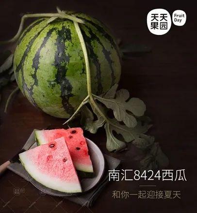 网红上海败家仔吃瓜,一场奢华与争议的碰撞